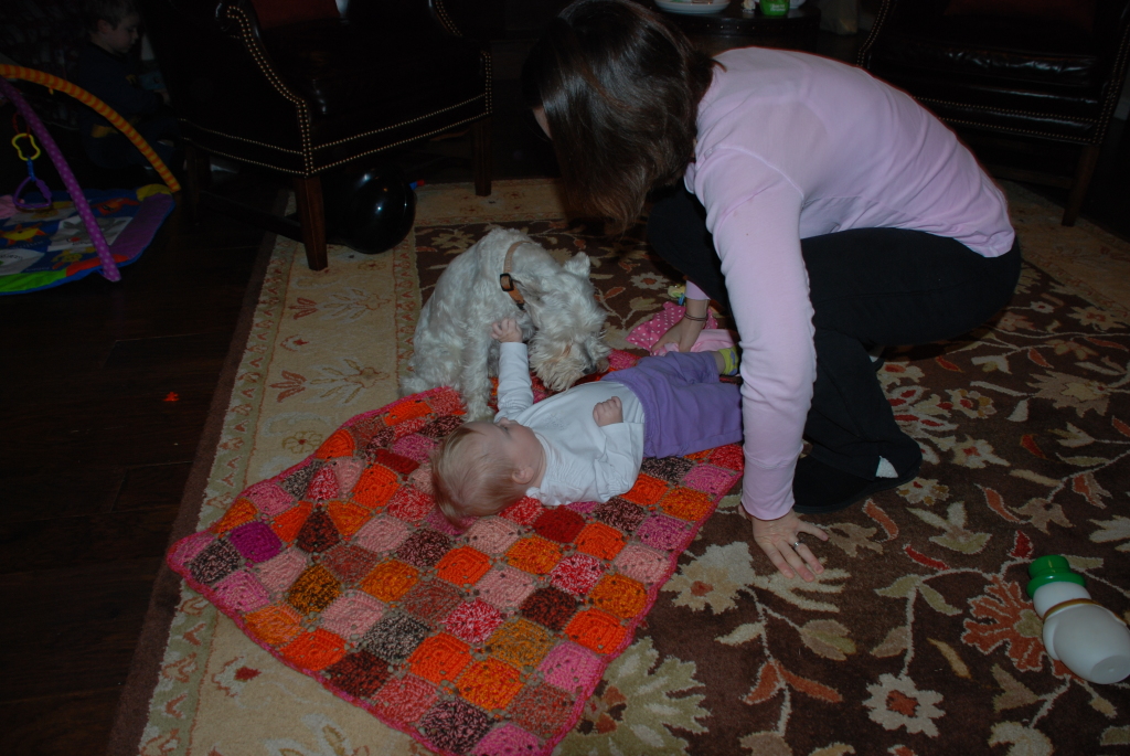 2008/12(Dec)/07(Christmas Day-Josh-Heathers)/1024x768_2008-12-25 07-51-3993.JPG